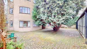 Rear Courtyard- click for photo gallery
